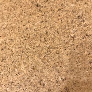 Meet your Posher, Shon